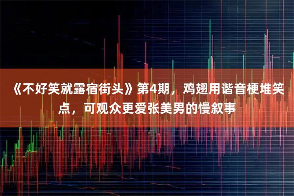 《不好笑就露宿街头》第4期，鸡翅用谐音梗堆笑点，可观众更爱张美男的慢叙事